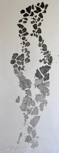 825F414B-9D0B-4C3F-9F78-BB914FCEC091_1_201_a