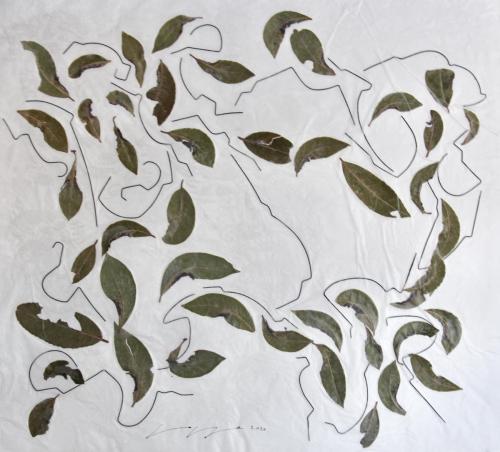 A2092CCB-C610-4411-A1CF-04C403CBDB3F_1_201_a